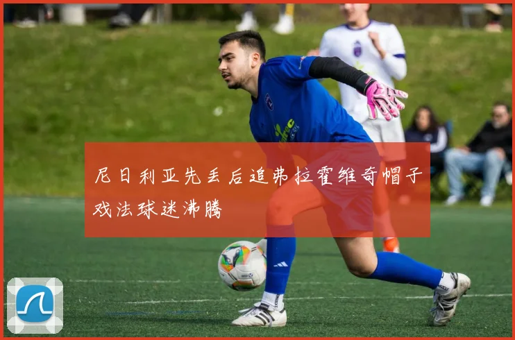 尼日利亚先丢后追弗拉霍维奇帽子戏法球迷沸腾