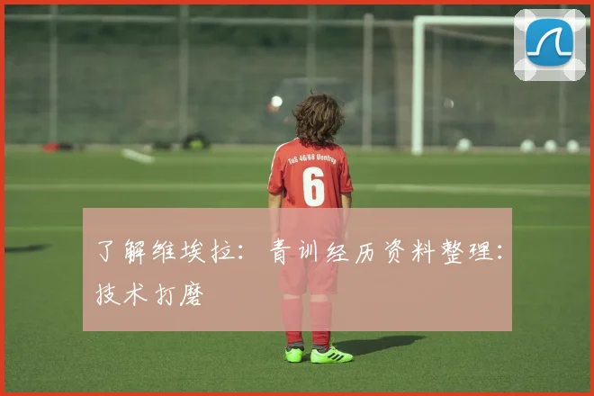 了解维埃拉：青训经历资料整理：技术打磨